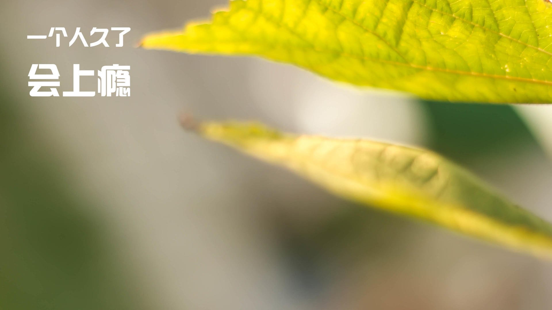 乒乓战场上的冰与火之歌，日本队碾压韩国队，樊振东一人惊艳四座