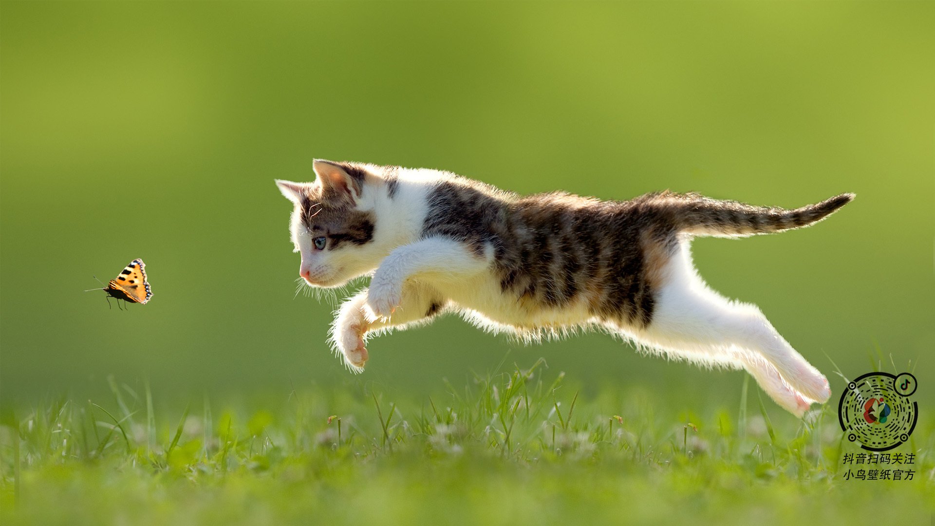 爱游戏tv-羽坛鏖战记，韩国队血拼德国队，石宇奇超凡统治引爆全场