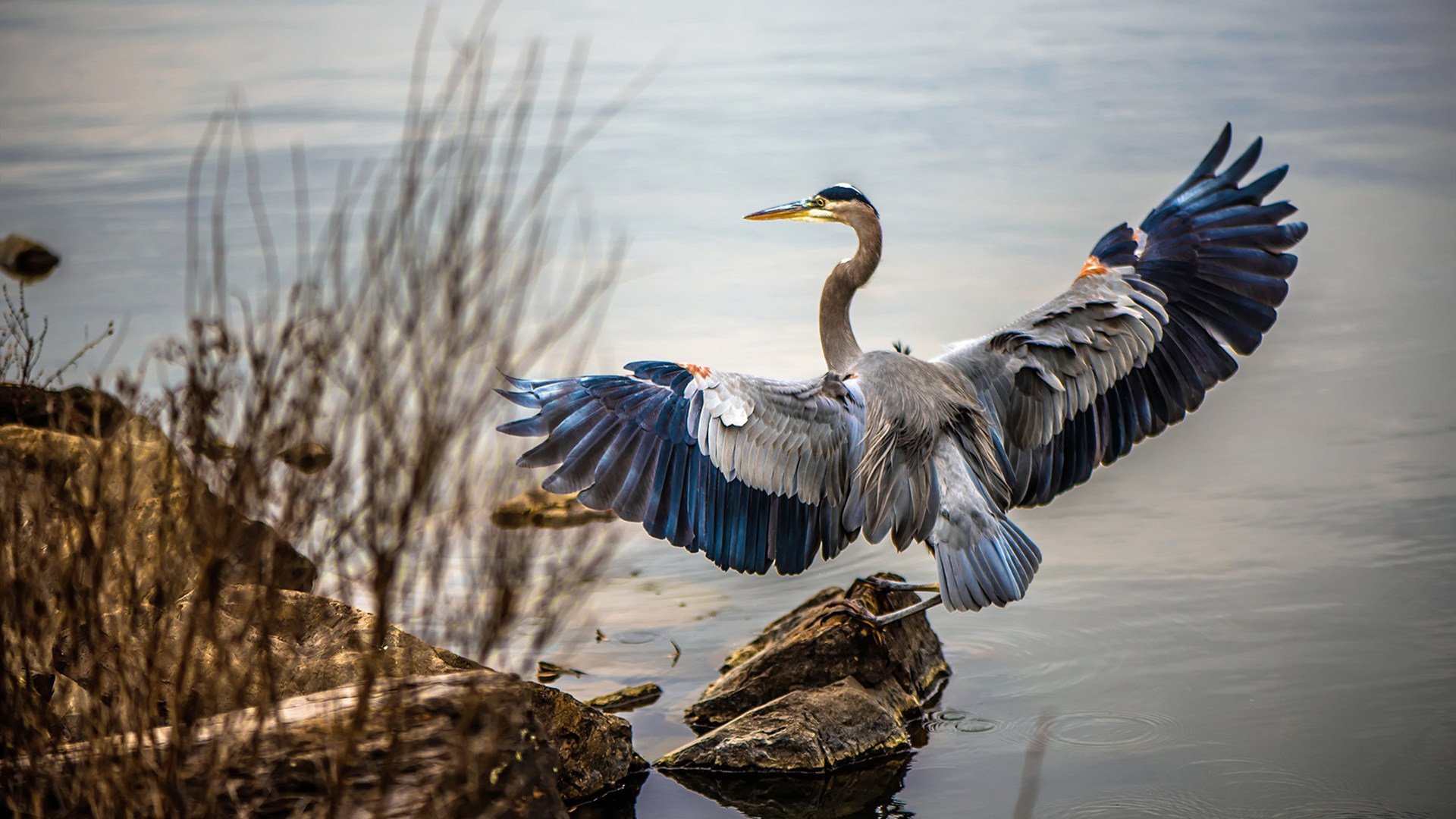 冰火之歌，鲁德双线鏖战，挥写网坛唯一诗篇