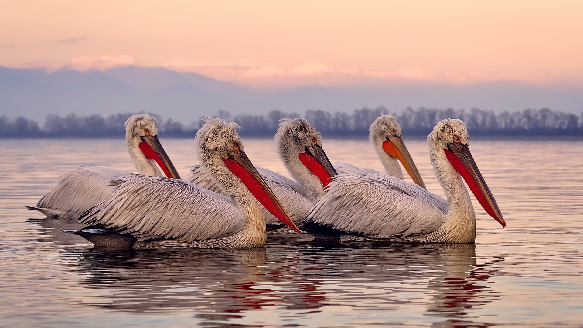 星光撕裂蓝黑铁幕，阿尔瓦雷斯临危救主，巴黎压哨绝杀书写逆转史诗