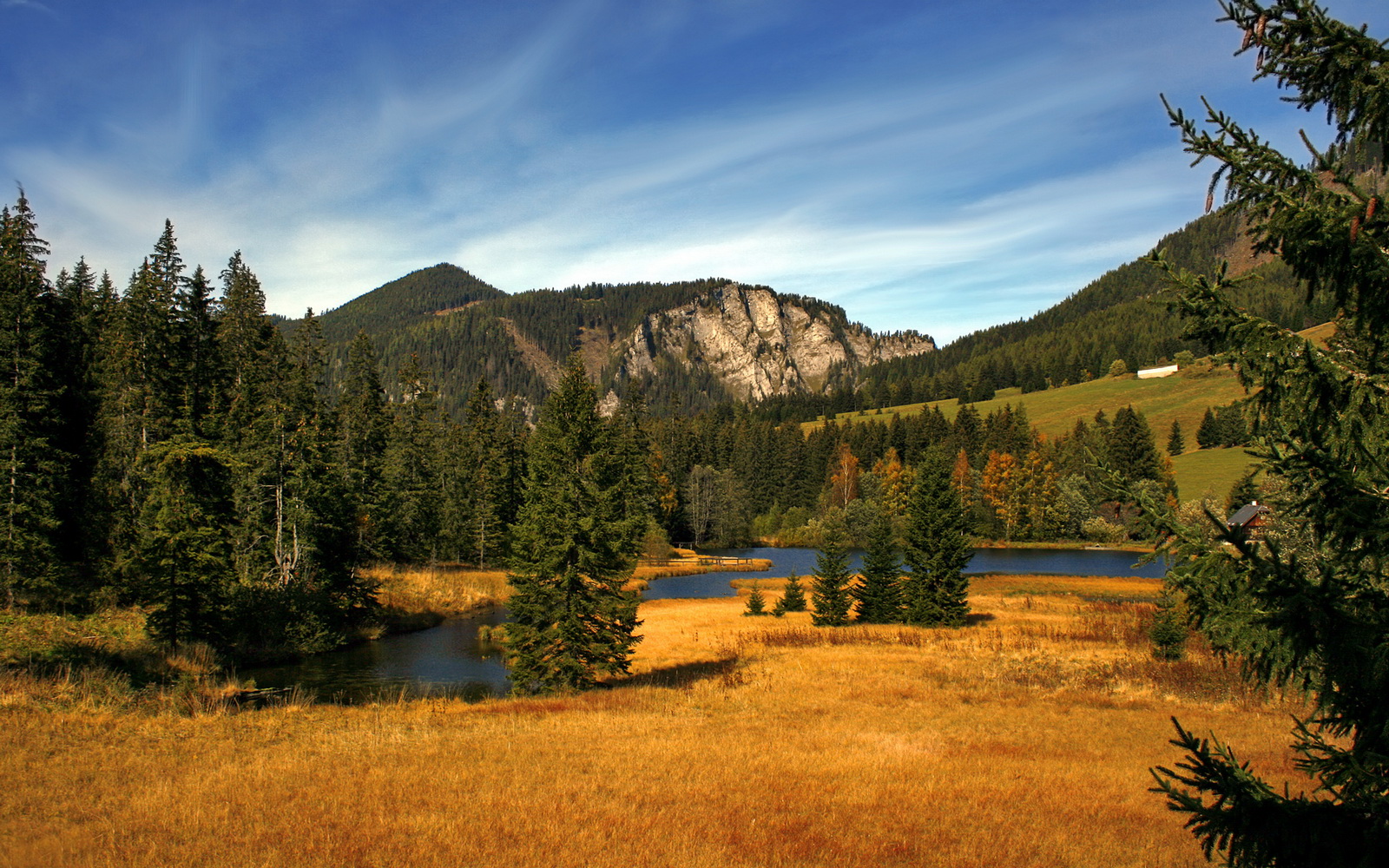 琴弦与鼓点，孔德如何以节奏为刃，切割毕尔巴鄂竞技的铁血防线