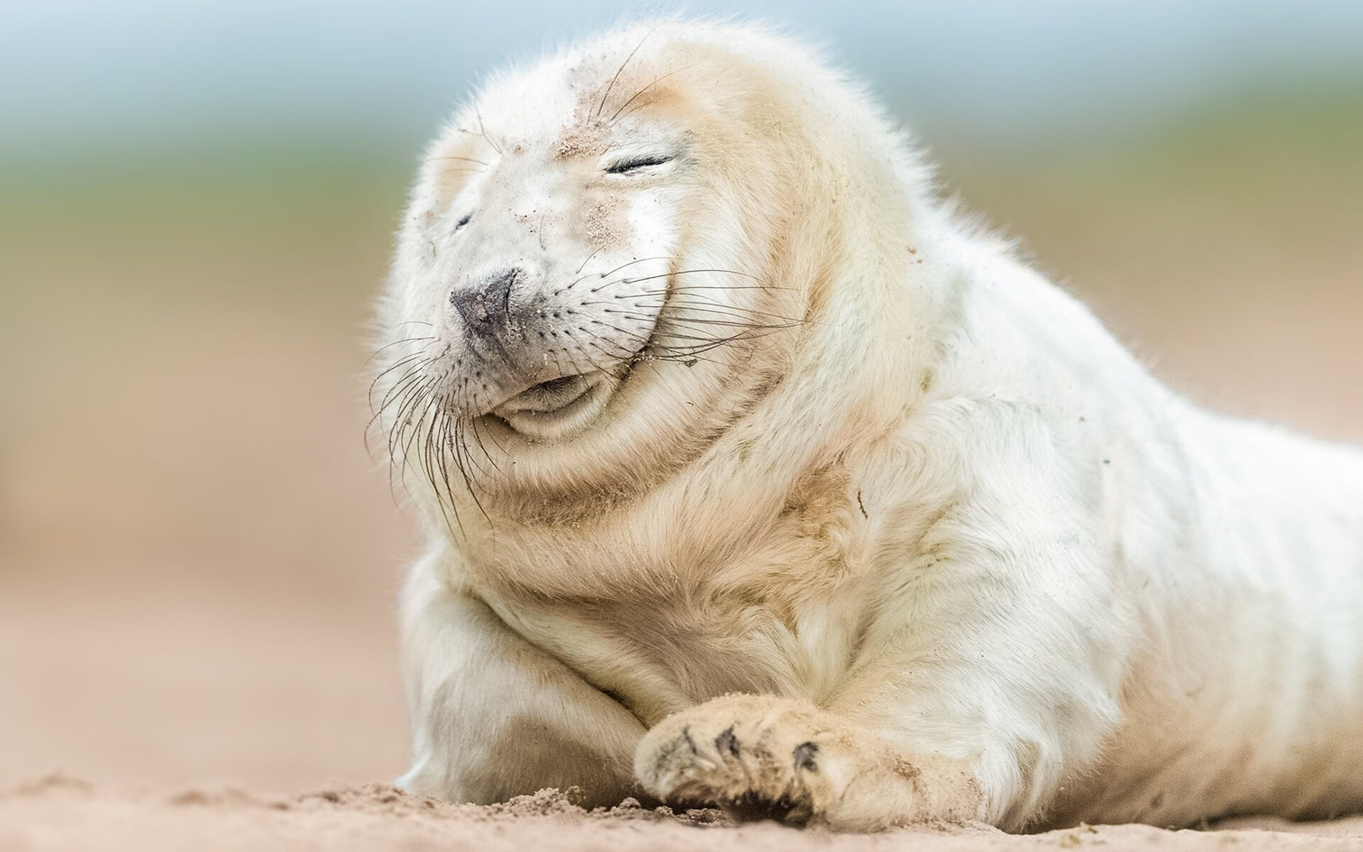 萨内一锤定音！哥斯达黎加鏖战晋级，牙买加黯然退场