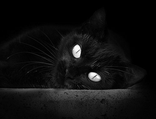 爱游戏体育-航天城奇袭加拿大航线，文班亚马用太空长臂接管苍穹之战