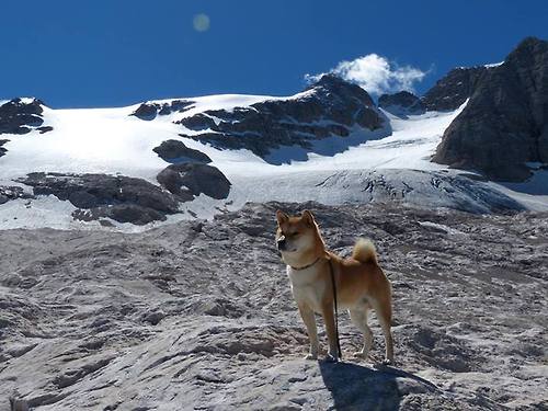 勒布朗时刻,36岁传奇用一记追身钉板大帽导演20分逆转