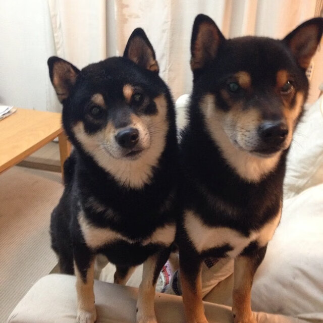 足球的两面性,一场意外与一次必然