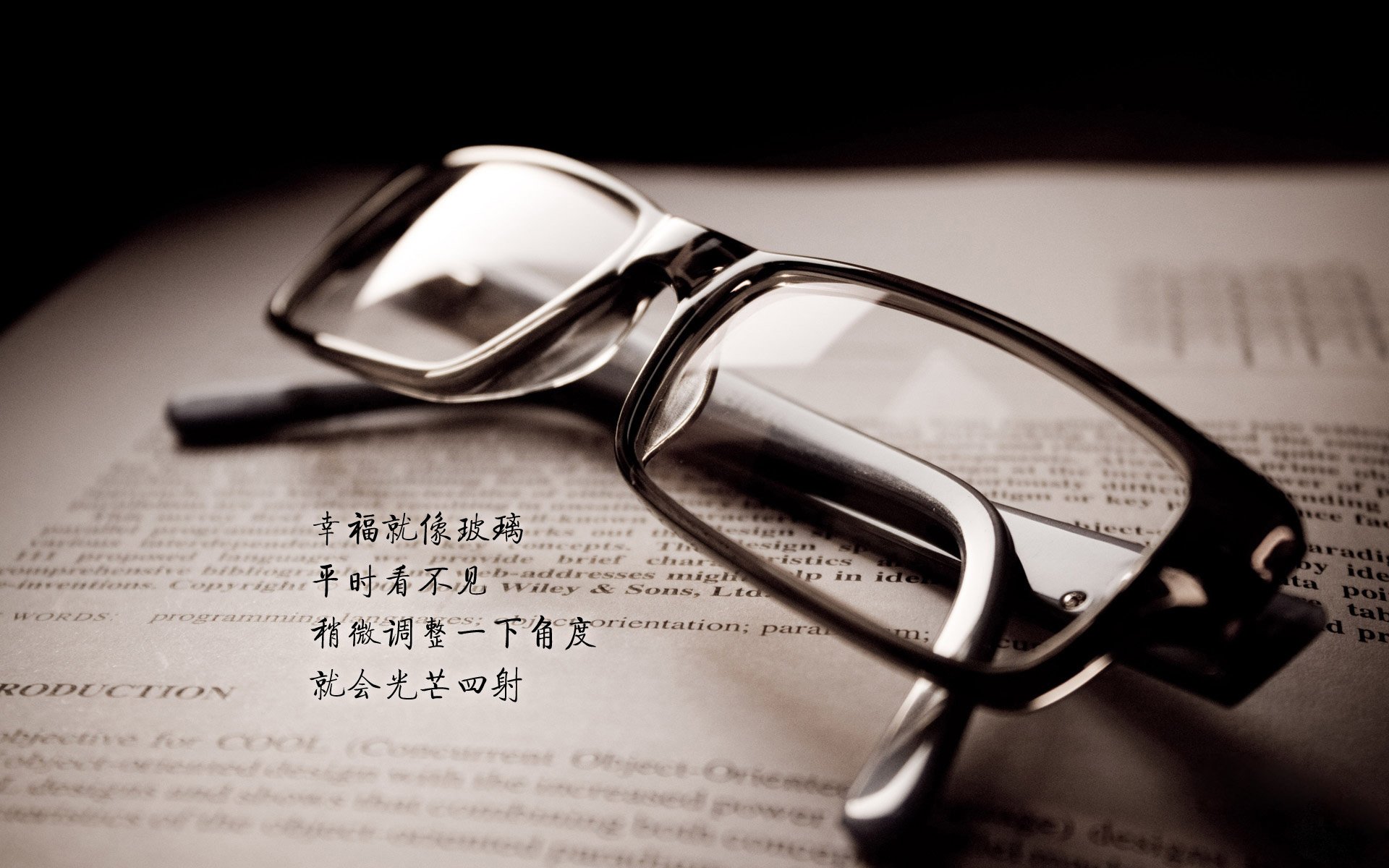 宿命的弧线，2026世界杯E组焦点战，哈基米主宰风云，葡萄牙读秒绝杀波兰