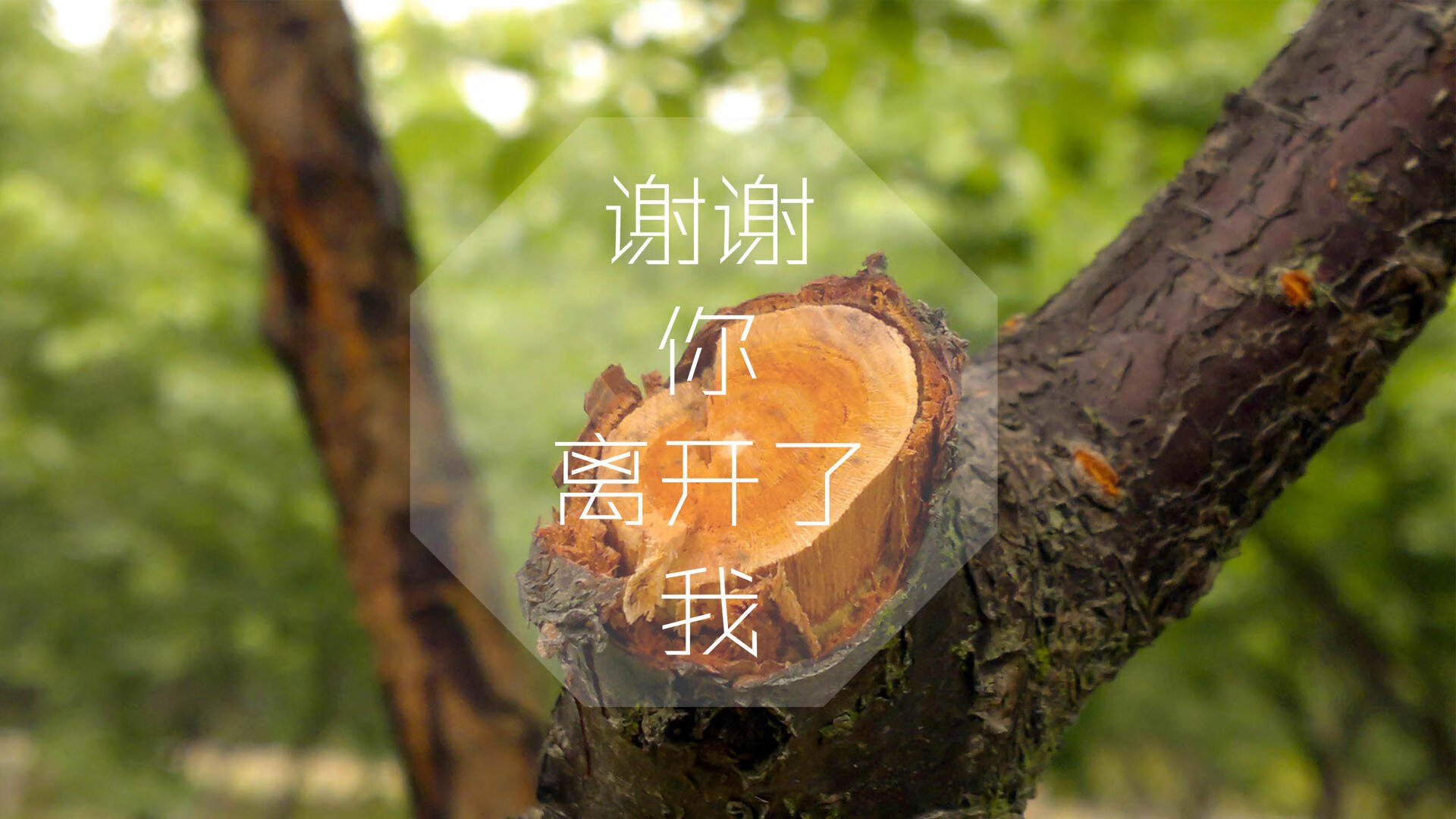 2026,最后一舞的悲喜两重天—葡萄牙绝杀阿根廷,孙兴慜带队书写控球传奇