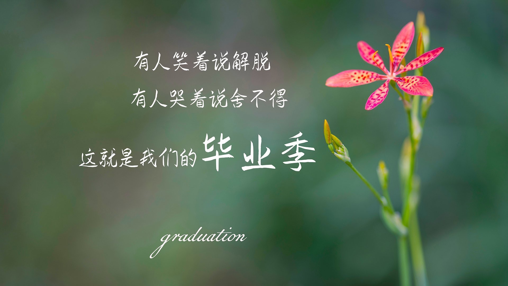 致命桑巴，撕裂樱花，内马尔的天外飞仙，将2026世界杯C组钉在历史的唯一性上